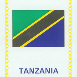 VIM Service Bulletin Tanzania